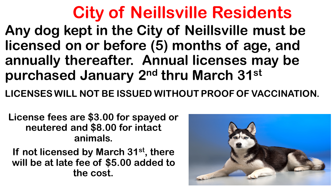 what does a dog license cost